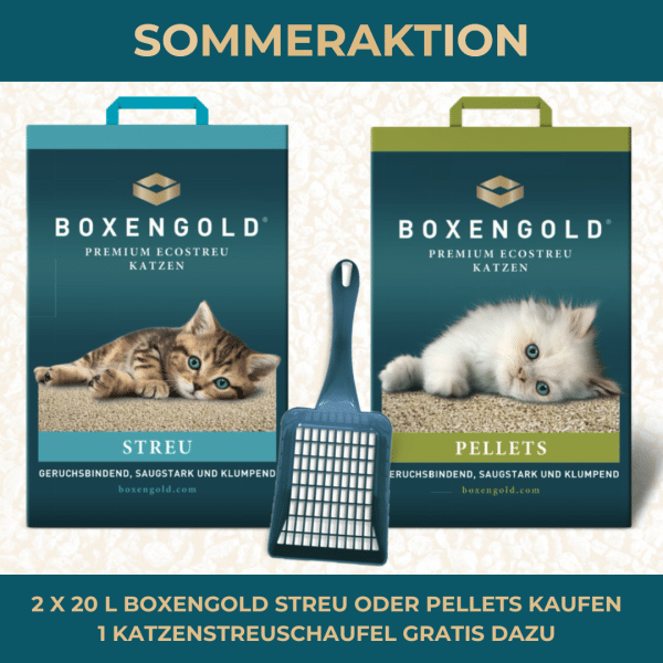 SOMMERAKTION 2x BOXENGOLD PREMIUM KATZENSTREU oder PELLETS + Gratis Katzenstreuschaufel